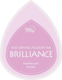 BDIP34 Dew Drops Pearl Orchid