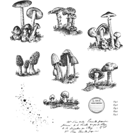 CMS 377 Tim Holtz Cling Stamps Tiny Toadstools 7"X8.5"