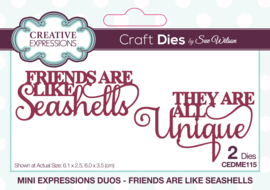 CEDME115 Creative Expressions Sue Wilson Craft Die Mini Expressions Duos Friends Are Like Seashells