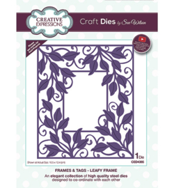 CED4385 Creative Expressions Leafy Frame