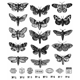 CMS436 Tim Holtz Cling Stamps Moth Study 7"X8.5"