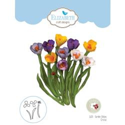 EC1638 Elizabeth Craft Metal Die Garden Notes-Crocus By Susan's Garden Club