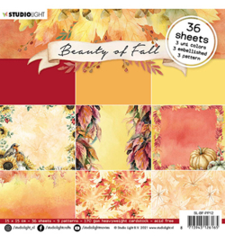 SL-BF-PP12 StudioLight Paper pad Pattern paper Beauty of Fall nr.12