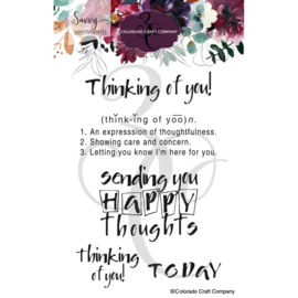 C3SS517 Colorado Craft Company Clear Stamps Thinking Of You-Savvy Sentiments 4"X6"