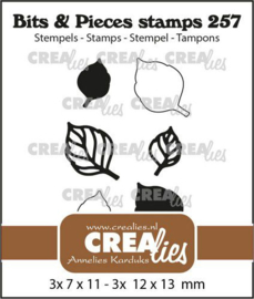 CLBP257 Crealies Clearstamp Bits & Pieces Blaadjes nr.16
