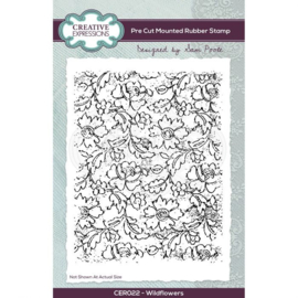 CER022 Creative Expressions Clear pre cut rubber stamp set Wildflowers