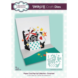 CEDPC1147 Creative Expressions Craft die paper cuts Verrassing!