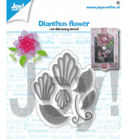 6002/1430 Cutting & embossing Dianthus bloem