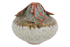 vaas met vlinders multcolours