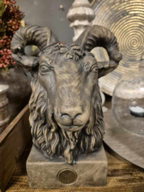 ram majestic brown Brynxz