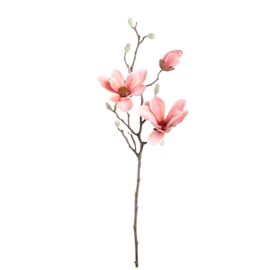 Magnolia tak zijde PTMD