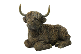 schotse hooglander liggend