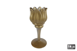 Theelichth "Tulip" mat goud glas 8x8x16cm
