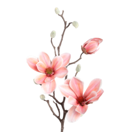Magnolia tak zijde PTMD