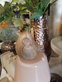 Vogel met koptelefoon