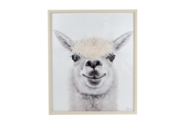schilderij alpaca