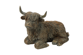 schotse hooglander liggend