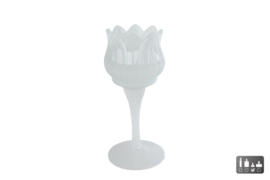 Theelichth "Tulp" S wit glas 7x7x16cm