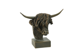 schotse hooglander op voet