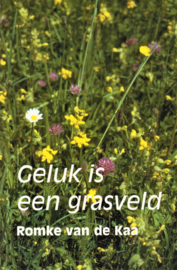 Geluk is een grasveld, Romke van de Kaa