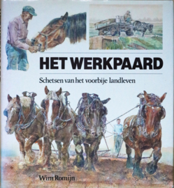 Het werkpaard, Wim Romijn