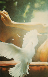 De laatste dag van de zomer – Ian McEwan