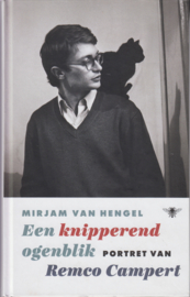 Een knipperend ogenblik, Mirjam van Hengel