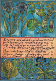 Over wol en plantaardig verven – Frans Smeets