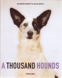A Thousand Hounds, Raymond Merrit & Miles Barth