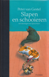 Slapen en schooieren, Peter van Gestel