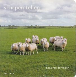 Schapen tellen, Hans van der Meer