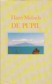 De pupil, Harry Mulisch