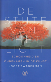 De stilte van het licht, Joost Zwagerman