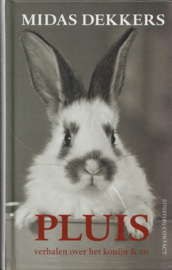 Pluis, Midas Dekkers