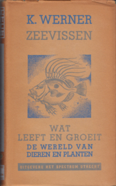 Zeevissen – K. Werner