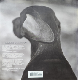 Bones – Keith Carter