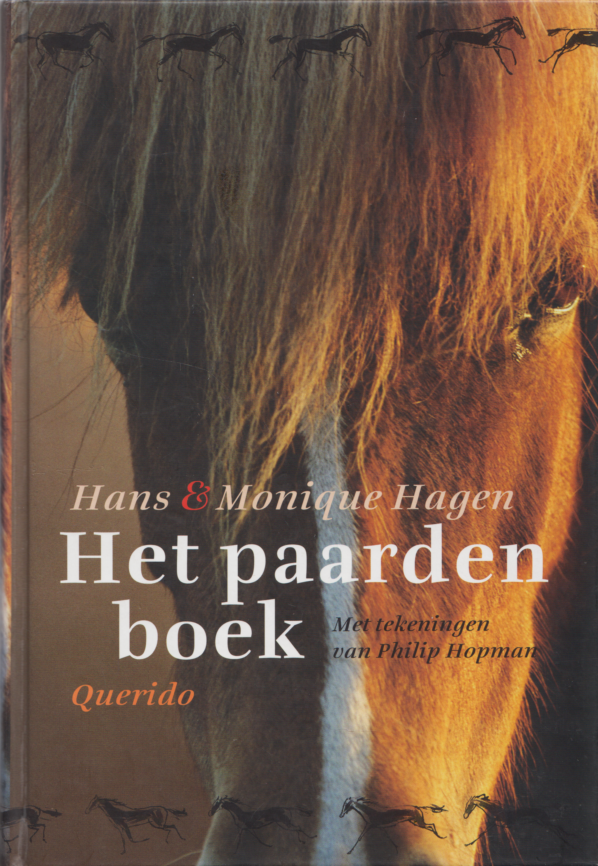 jeugd 13 jaar en ouder en Young adult
