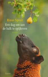 Een dag om aan de balk te spijkeren, Rinus Spruit