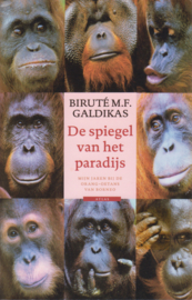 De spiegel van het paradijs, Biruté Galdikas