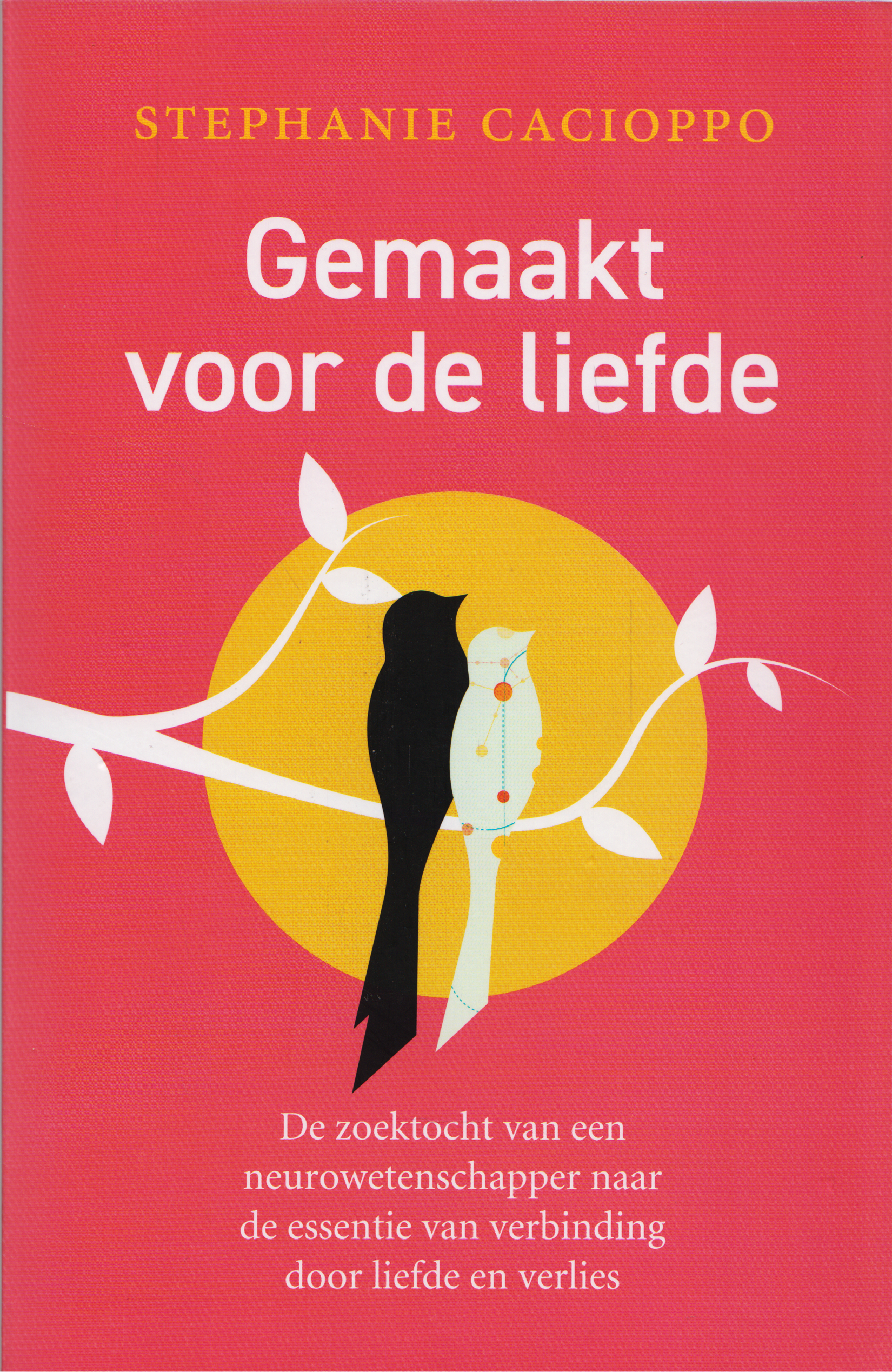 Gemaakt voor de liefde, Stephanie Cacioppo