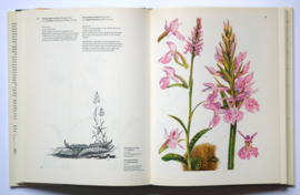 Wilde orchideeën van Europa, deel 1 en deel 2, J. Landwehr