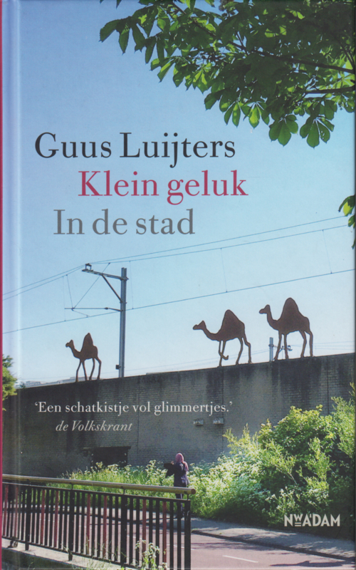 Klein geluk – In de stad, Guus Luijters
