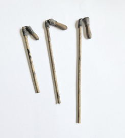 Ger-03.3A: Dorsvlegel