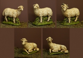 S/H 3.0: Schapen voor ca. 25 cm fig.