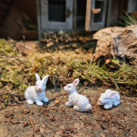 Dd-06.2  Konijnen 'wit' (set 3 stuks)