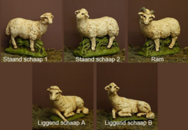 S/H 3.0: Schapen voor ca. 25 cm fig.