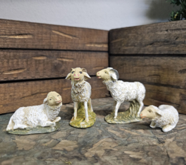 1-Kunsthars 1.4: Set oude schaapjes (4cm hoog)