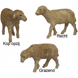 Dd-85 Grote schapen 5.5 cm H