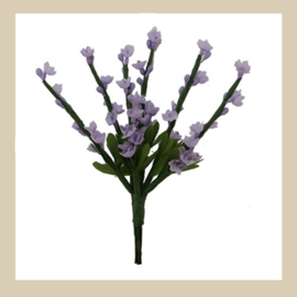 Bl-01.06: Lavendel