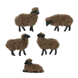 Dd-855b Wollige schapen 'Bruin' (set 5 stuks)